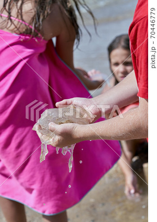 Transparent wet jellyfish in the hands of a teenager Transparent wet jellyfish in the hands of a teenager 70446779