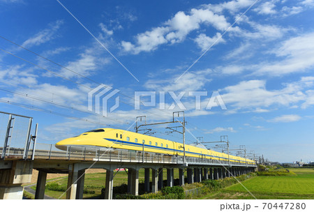刈谷市を疾走するD.Yellow 刈谷市を疾走するD.Yellow 70447280