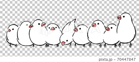 A lot of Java sparrows 70447847