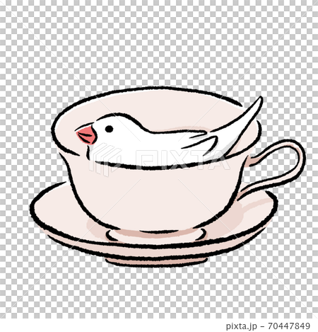 Java sparrow that the tea cup liked Java sparrow that the tea cup liked 70447849