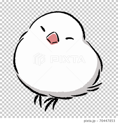 ねむたい文鳥 70447853