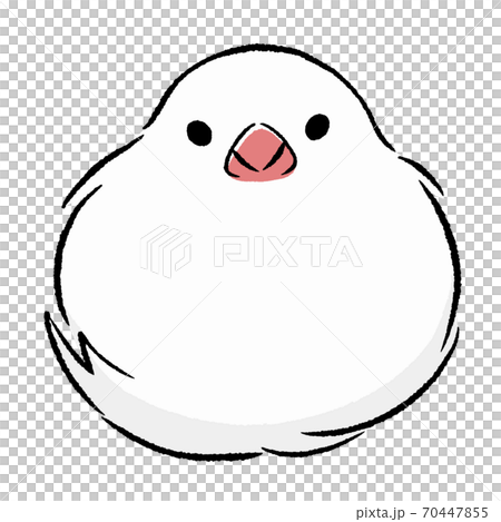 ふわふわな文鳥のイラスト素材