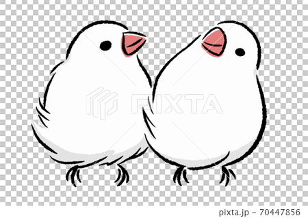 なかよしな文鳥のイラスト素材