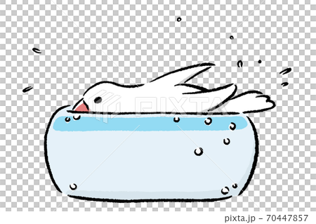 水浴びがすきな文鳥のイラスト素材