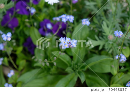 XT2清里高原その41 XT2清里高原その41 70448037