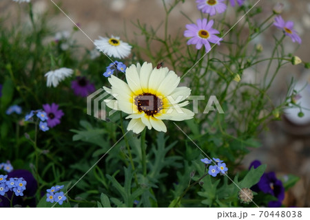 XT2清里高原その42 70448038