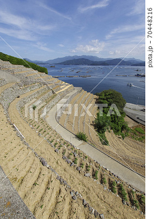 石を積み上げて造られた段々畑と宇和海の写真素材 [70448216] - PIXTA