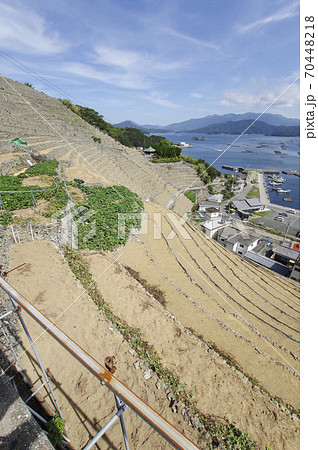 石を積み上げて造られた段々畑と宇和海の写真素材 [70448218] - PIXTA