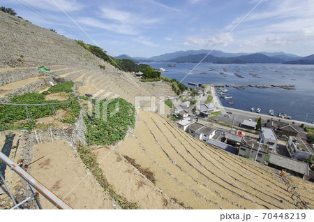 石を積み上げて造られた段々畑と宇和海の写真素材 [70448219] - PIXTA