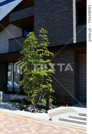住宅街　一戸建て　新しい街並み 70448601