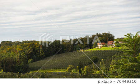 Puch bei Weiz town on apple street famous for apple orchards in region Styria. 70449310