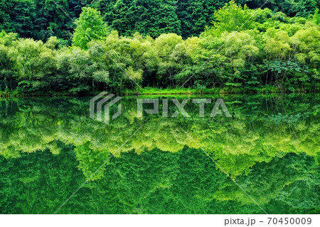 旭川の水辺 70450009