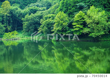 旭川の水辺 旭川の水辺 70450014