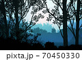 Natural forest mountains horizon hills silhouettes of trees. Evening Sunrise and sunset. Landscape wallpaper. Illustration vector style. Colorful view background. 70450330
