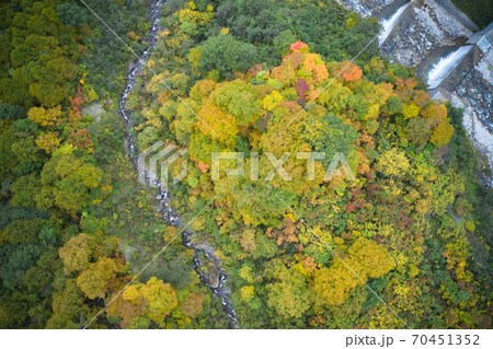 猿倉から白馬大雪渓に向けての美しい紅葉 長野県白馬村(ドローンによる空撮) 猿倉から白馬大雪渓に向けての美しい紅葉 長野県白馬村(ドローンによる空撮) 70451352