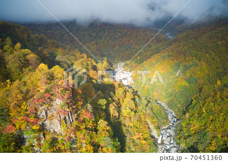 猿倉から白馬大雪渓に向けての美しい紅葉　長野県白馬村（ドローンによる空撮） 70451360