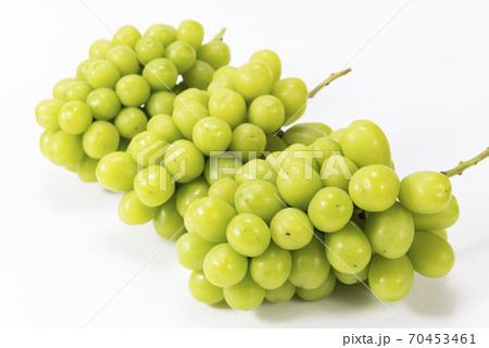 秋のフルーツの王様美味しいシャインマスカット 秋のフルーツの王様美味しいシャインマスカット 70453461