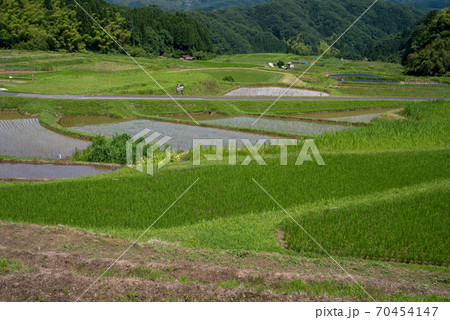 島根県　雲南市　大東町　山王寺の棚田　田植え直後(2020年6月) 70454147