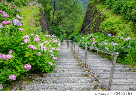 別子銅山跡・東平地区のインクライン跡 70455568