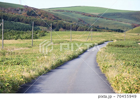 宗谷丘陵（北海道稚内市宗谷岬） 70455949