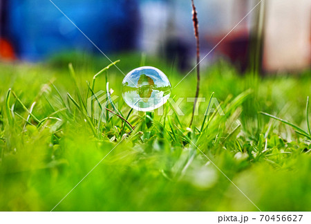 Nice soap bubble in green grass 70456627