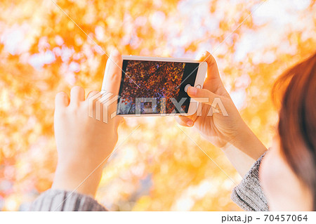 スマホで紅葉を撮影する女性の手 70457064