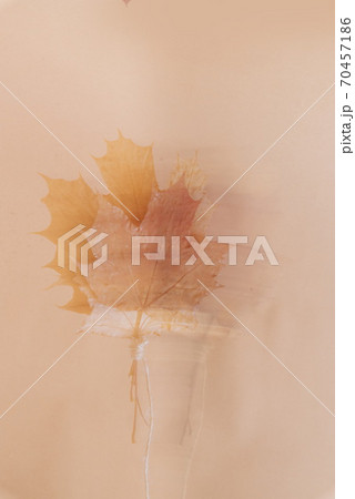 Abstract blurry image of dry autumn leaves on a light pink background 70457186