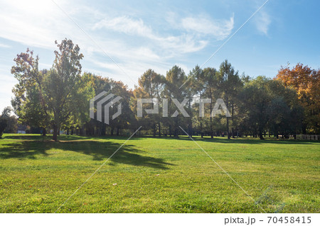 Autumn in the city Park, trees in yellow foliage 70458415