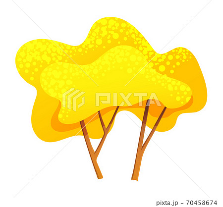 Yellow bright autumn tree with a lush crown, thin brown trunk and branches isolated on white Yellow bright autumn tree with a lush crown, thin brown trunk and branches isolated on white 70458674