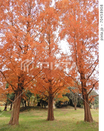 三本柱 三本柱 70458908