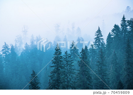 Misty mountain landscape Misty mountain landscape 70459809