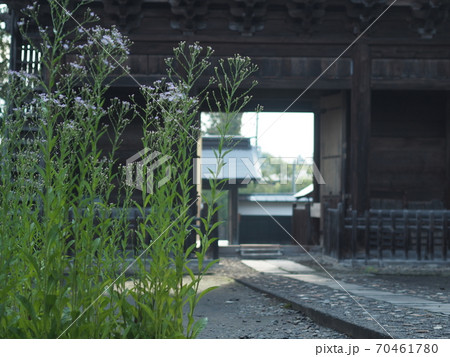 弘前　長勝寺 70461780