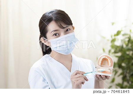 マスクをして歯形模型と歯ブラシを持つ歯科衛生士の写真素材