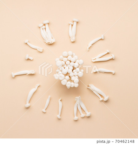 White beech mushrooms or Shimeji mushroom on pastel beige paper background. White beech mushrooms or Shimeji mushroom on pastel beige paper background. 70462148