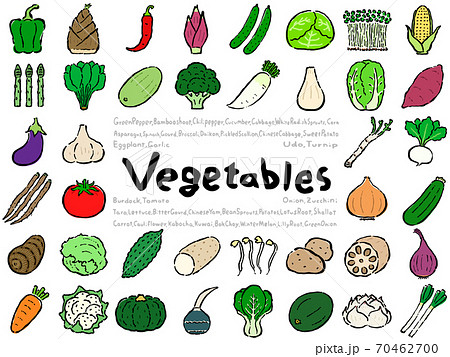 Vegetable Set 70462700