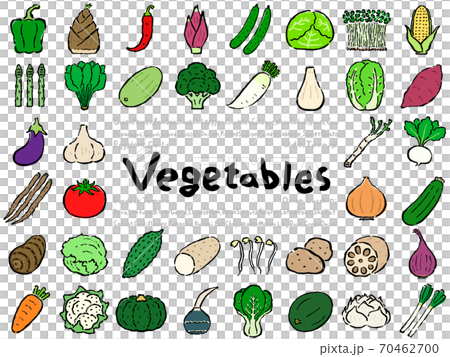 Vegetable Set 70462700
