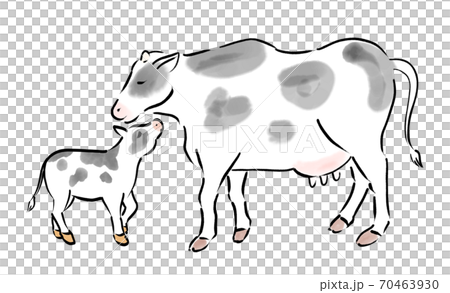 2021年 丑年の年賀状素材 乳牛の雌 手描き風の牛 親子 2021年 丑年の年賀状素材 乳牛の雌 手描き風の牛 親子 70463930
