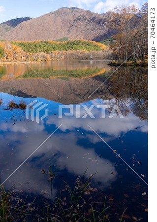 福島県会津観音沼森林公園の紅葉 70464173