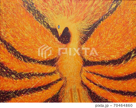 Phoenix 火の鳥のイラスト素材
