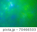 緑の微細模様 70466503