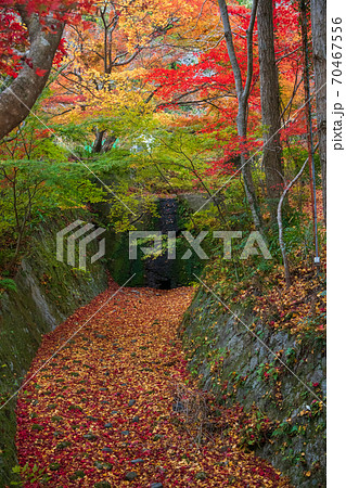 紅葉川 神蔵寺 紅葉川 神蔵寺 70467556