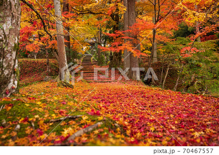 龍穏寺　秋 70467557