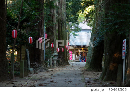 日吉神社の参道の杉並木(千葉県東金市) 日吉神社の参道の杉並木(千葉県東金市) 70468506