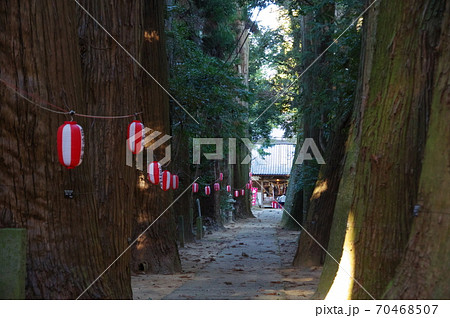 日吉神社の参道の杉並木(千葉県東金市) 日吉神社の参道の杉並木(千葉県東金市) 70468507
