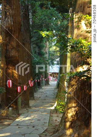 日吉神社の参道の杉並木(千葉県東金市) 日吉神社の参道の杉並木(千葉県東金市) 70468508