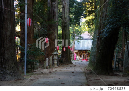 日吉神社の参道の杉並木(千葉県東金市) 日吉神社の参道の杉並木(千葉県東金市) 70468823