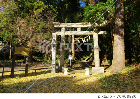 日吉神社の鳥居(千葉県東金市) 日吉神社の鳥居(千葉県東金市) 70468830