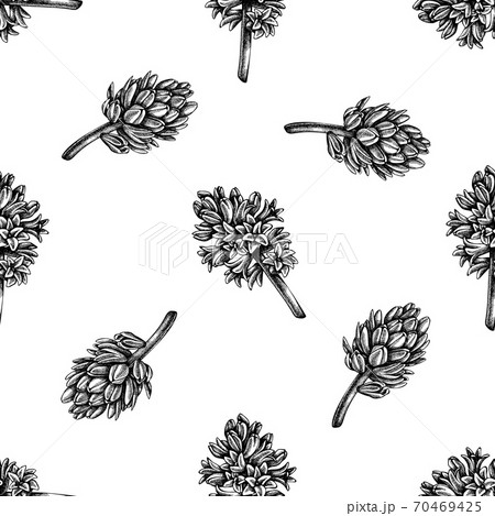 Seamless Pattern With Black And White Hyacinthのイラスト素材