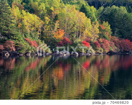 [長野県]_白駒池の秋03 70469820