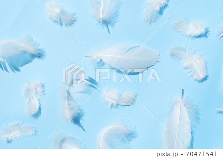 Colorful pattern made of feathers. Colorful pattern made of feathers. 70471541